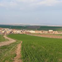 Bismil Topraklı Köyü Resimleri 6