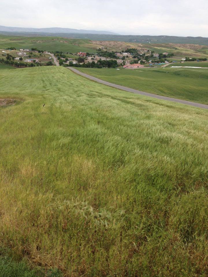 Bismil Uğurlu Köyü Resimleri 2