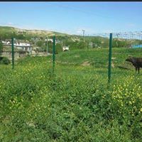 Bismil Uğurlu Köyü Resimleri 3