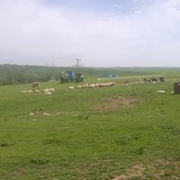 Bismil Uğurlu Köyü Resimleri 6