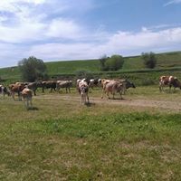 Bismil Uğurlu Köyü Resimleri 9