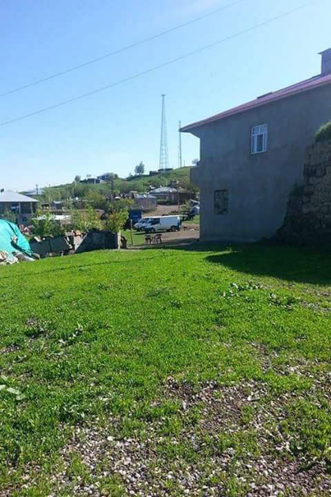 Bulanık Akçaarmut Köyü Resimleri 2