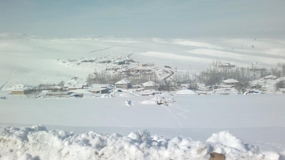 Bulanık Akçaarmut Köyü Resimleri 3