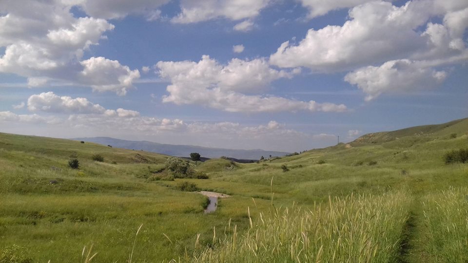 Bulanık Akçaarmut Köyü Resimleri 7