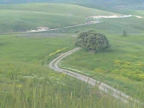 Bulanık Akçakaynak Köyü Resimleri 1