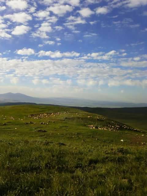 Bulanık Akçakaynak Köyü Resimleri 3