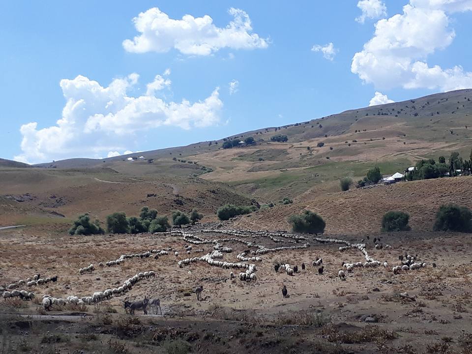Bulanık Akçakaynak Köyü Resimleri 5