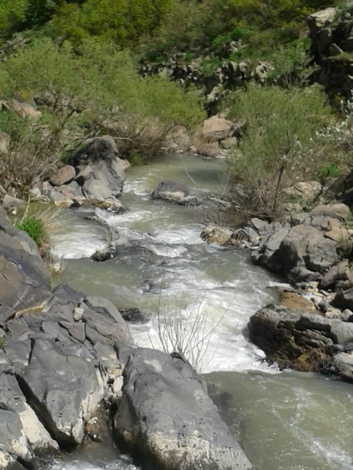 Bulanık Akçakaynak Köyü Resimleri 6