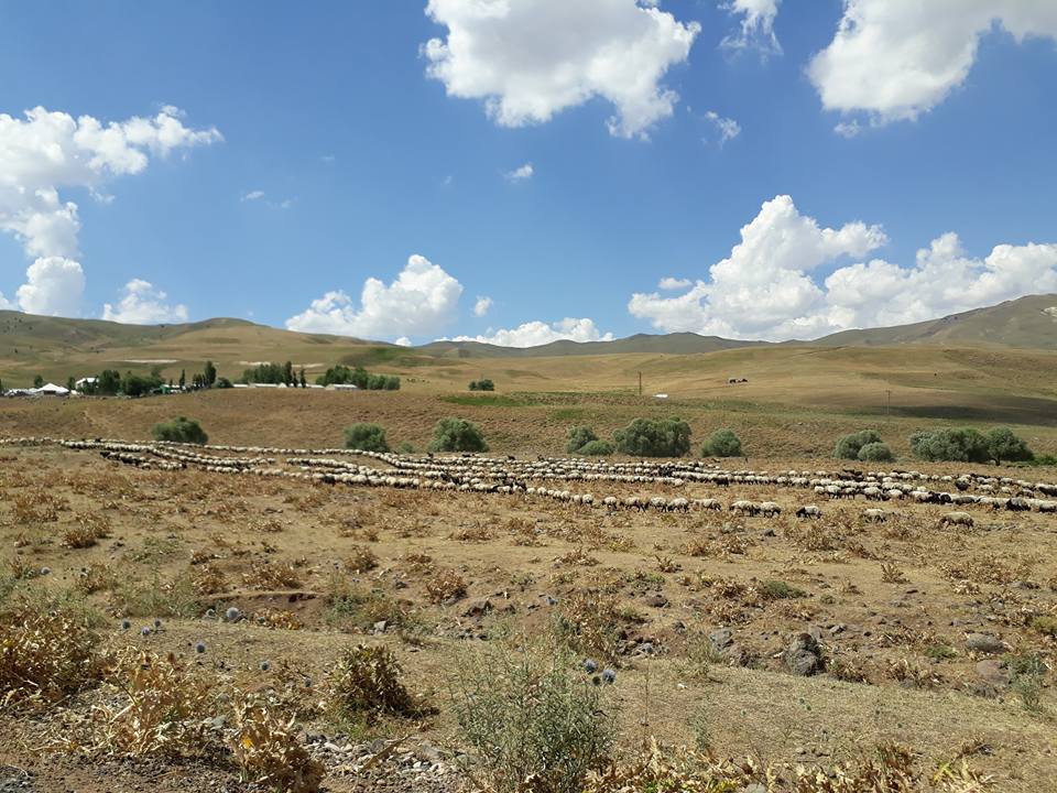 Bulanık Akçakaynak Köyü Resimleri 7