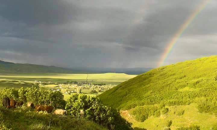 Bulanık Altınoluk Köyü Resimleri 7