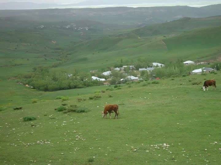 Bulanık Aşağıbüklü Köyü Resimleri 3