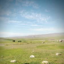 Bulanık Aşağıbüklü Köyü Resimleri 6