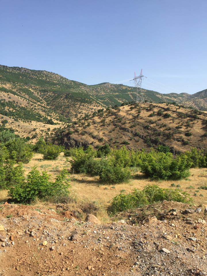 Bulanık Aşağıbüklü Köyü Resimleri 7