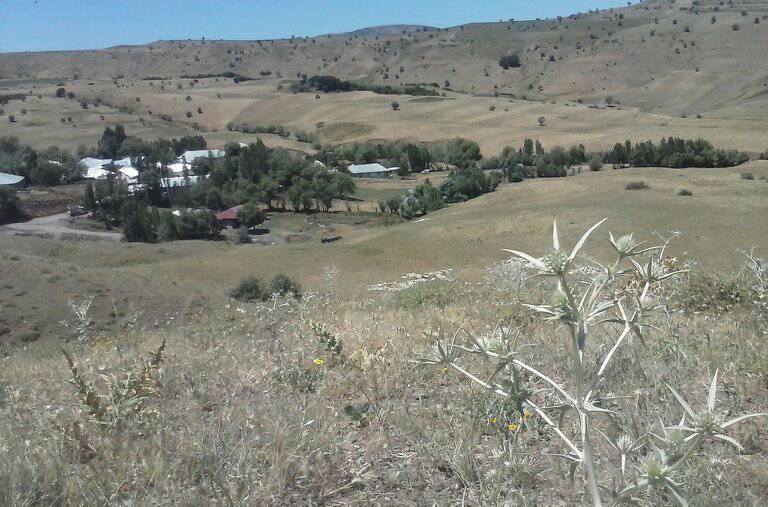 Bulanık Aşağıbüklü Köyü Resimleri 8