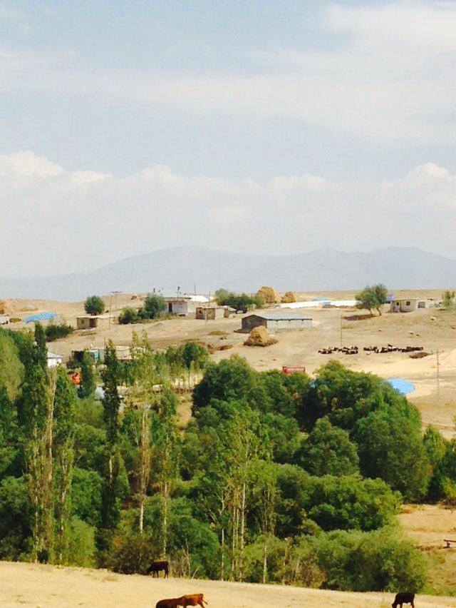 Bulanık Çataklı Köyü Resimleri 4