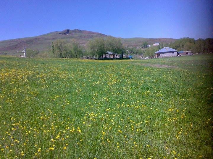 Bulanık Değirmensuyu Köyü Resimleri 3