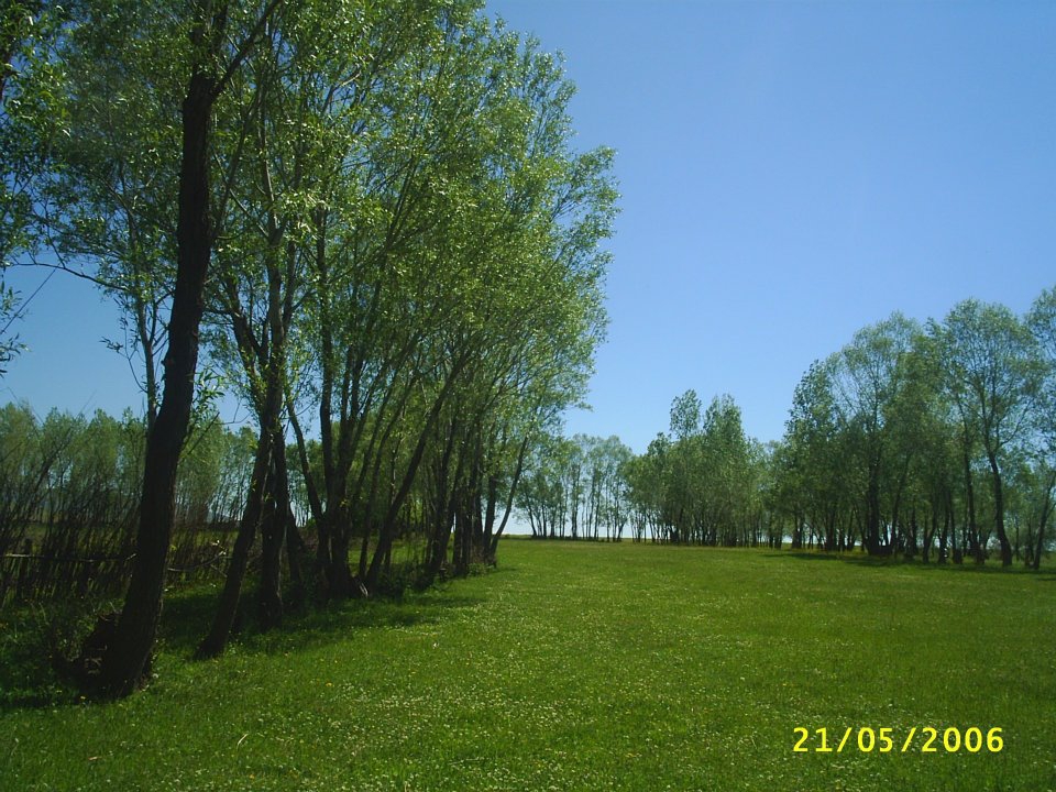 Bulanık Demirkapı Köyü Resimleri 2