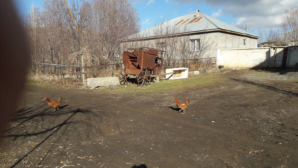 Bulanık Demirkapı Köyü Resimleri 7