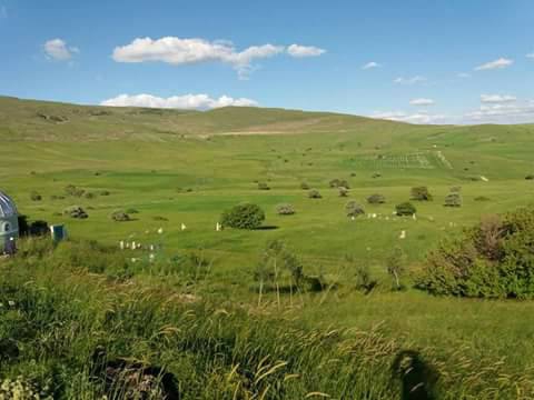 Bulanık Doğantepe Köyü Resimleri 3