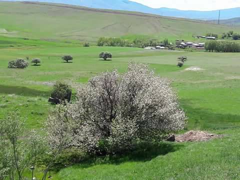 Bulanık Doğantepe Köyü Resimleri 9