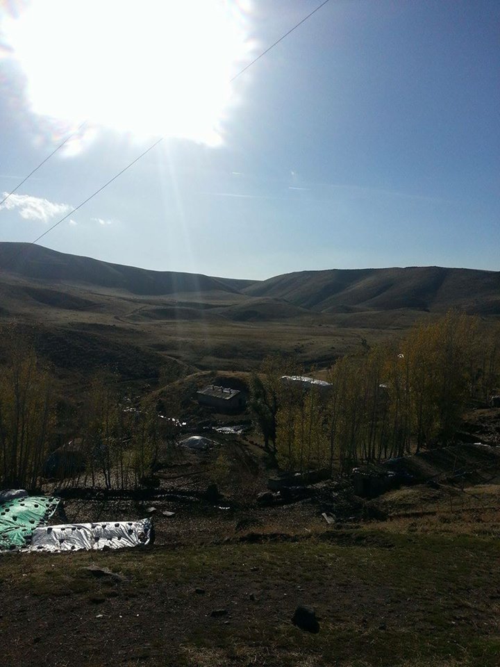 Bulanık Ericek Köyü Resimleri 10