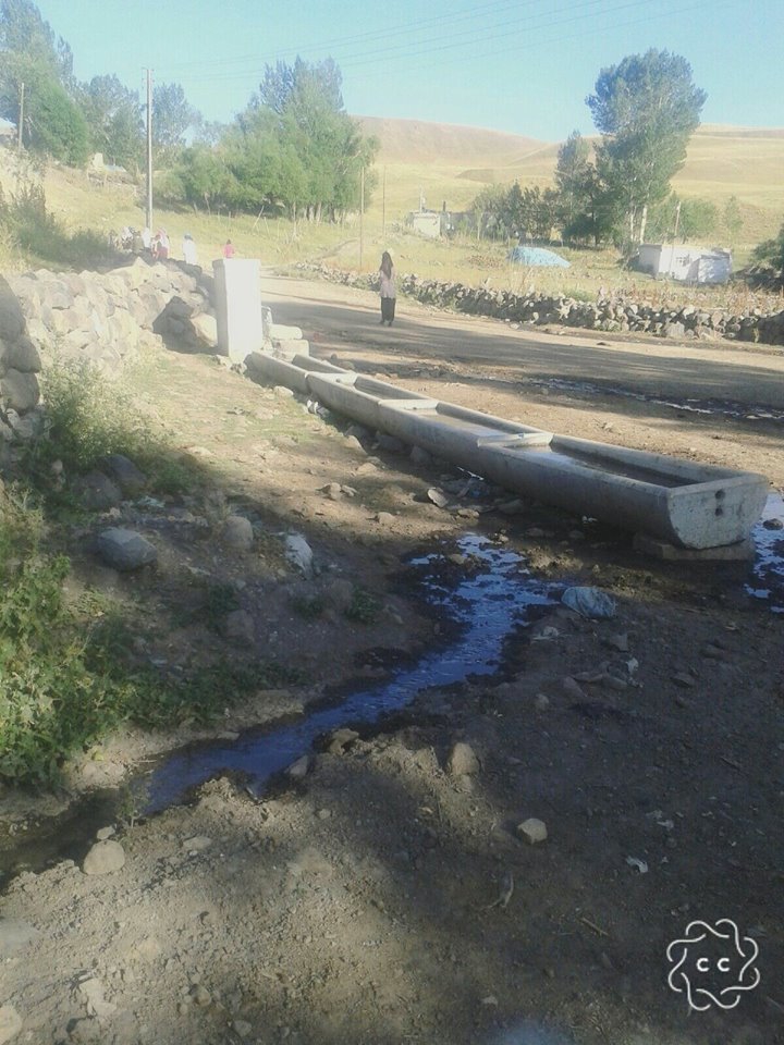 Bulanık Ericek Köyü Resimleri 2