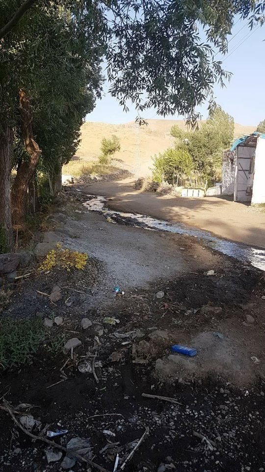 Bulanık Ericek Köyü Resimleri 3