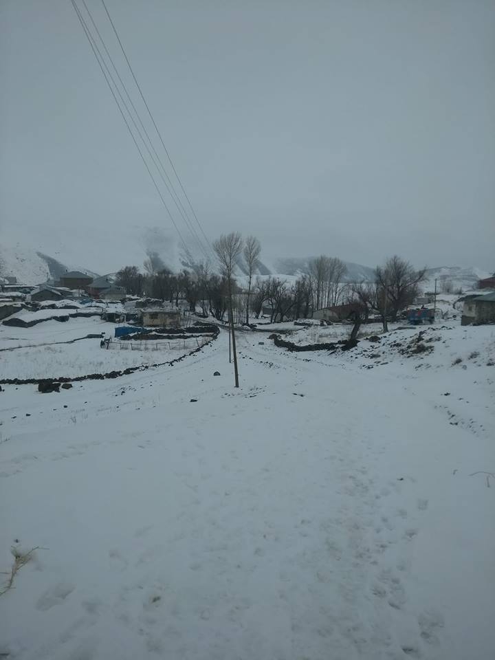 Bulanık Ericek Köyü Resimleri 6