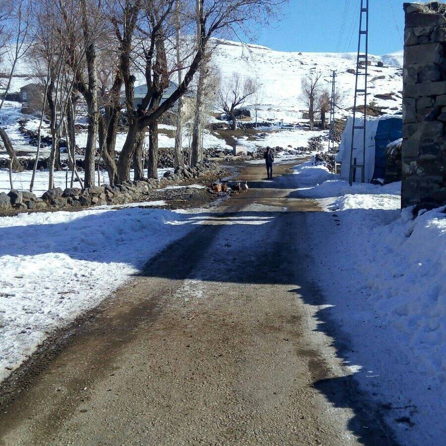 Bulanık Ericek Köyü Resimleri 9