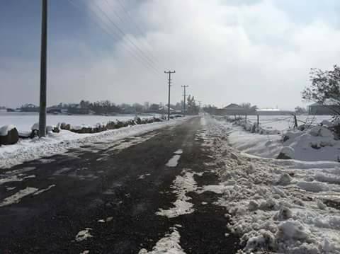 Bulanık Gölyanı Köyü Resimleri 4