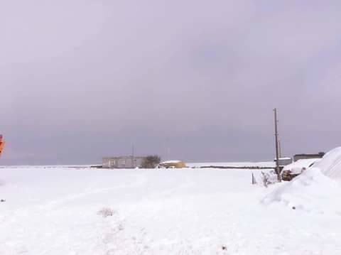 Bulanık Gölyanı Köyü Resimleri 6