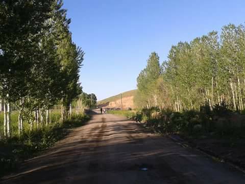 Bulanık Göztepe Köyü Resimleri 7