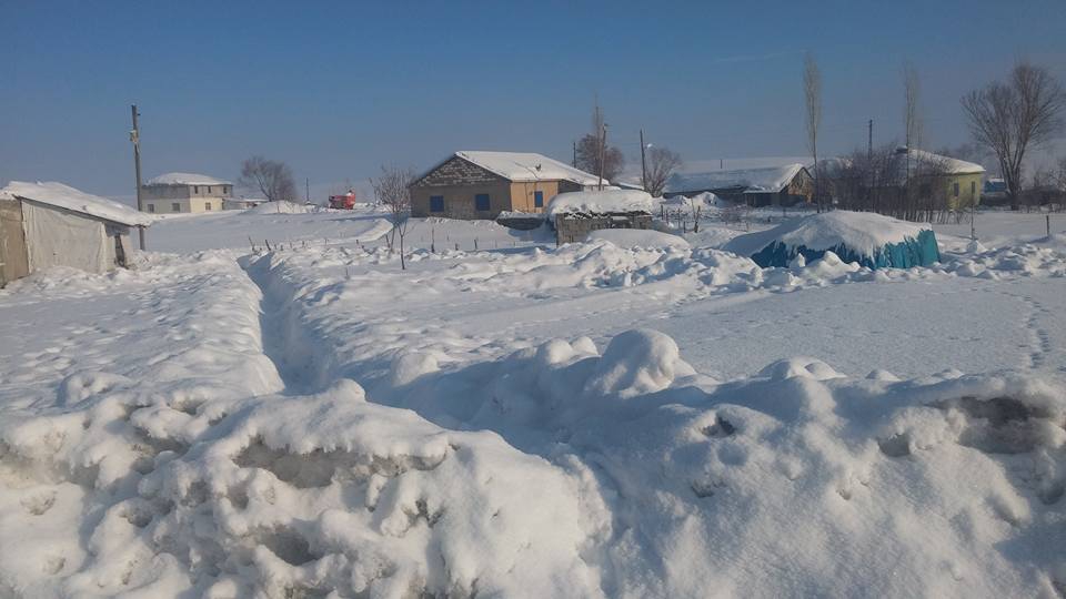 Bulanık Günbatmaz Köyü Resimleri 2