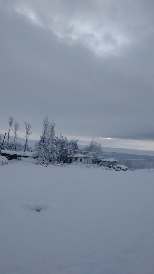 Bulanık Han Köyü Resimleri 2