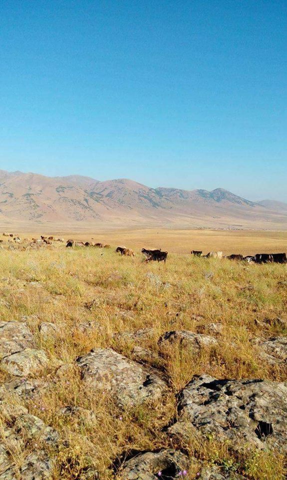 Bulanık Karaburun Köyü Resimleri 4