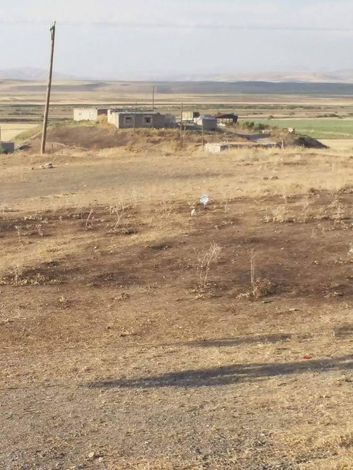 Bulanık Kotanlı Köyü Resimleri 2