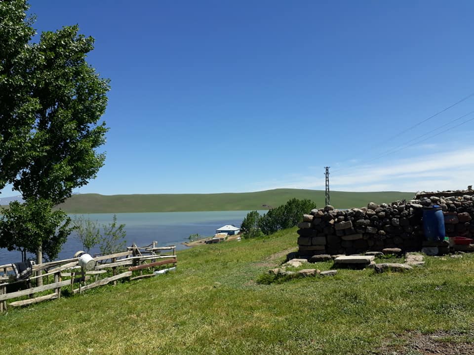 Bulanık Koyunağılı Köyü Resimleri 6
