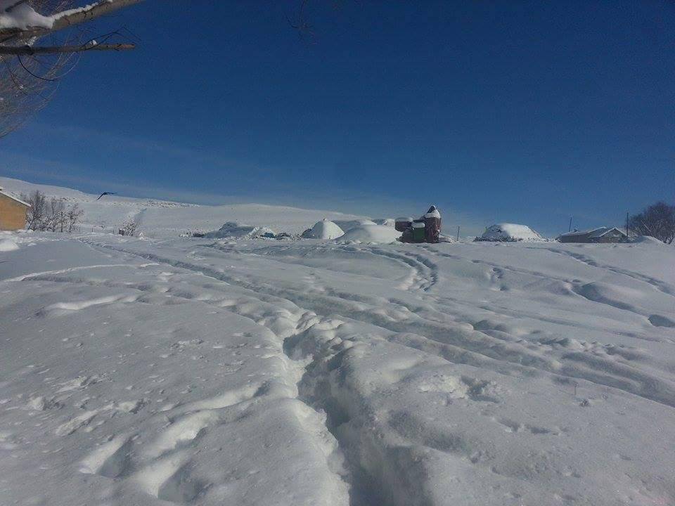 Bulanık Koyunağılı Köyü Resimleri 9