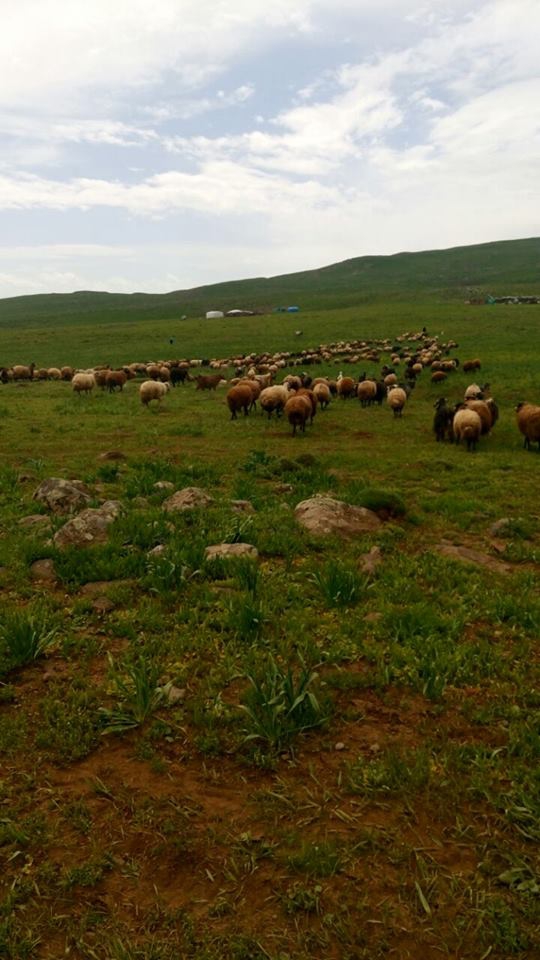 Bulanık Köprüyolu Köyü Resimleri 3