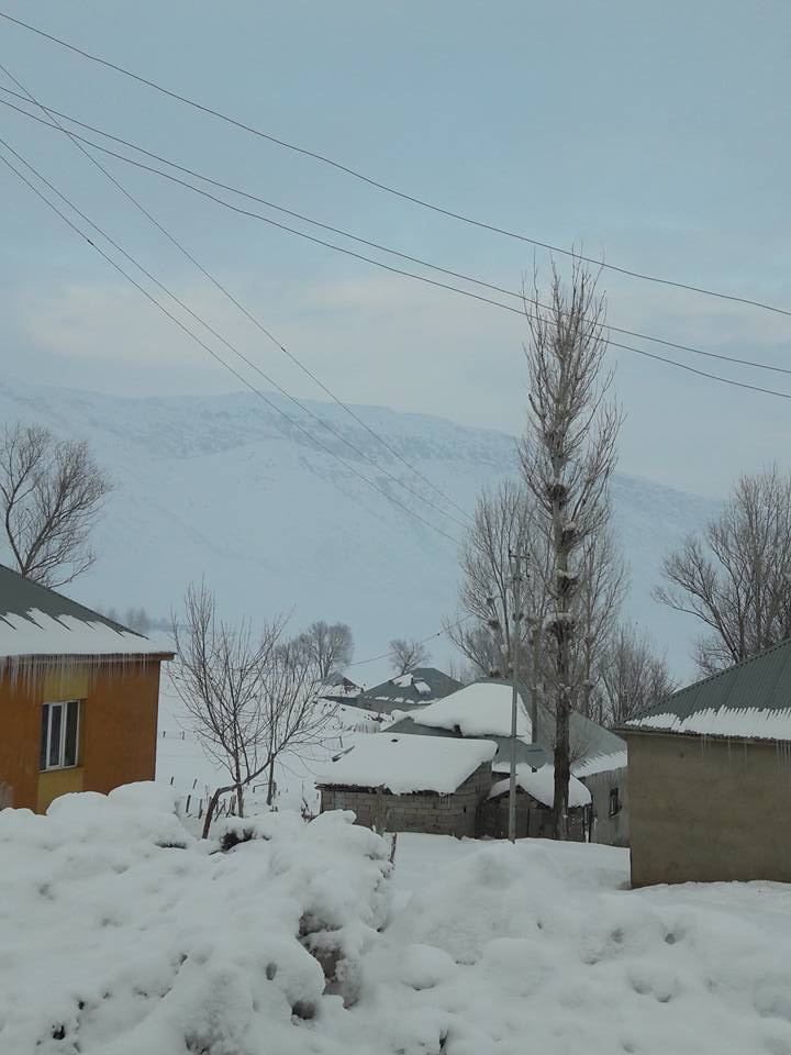 Bulanık Meşeiçi Köyü Resimleri 3