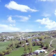 Bulanık Molladavut Köyü Resimleri 7