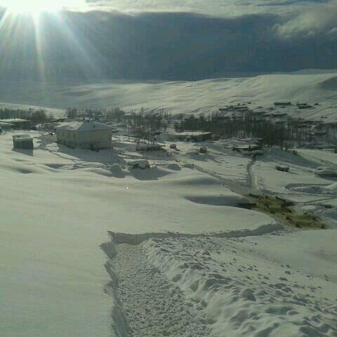 Bulanık Oğlakkaya Köyü Resimleri 1