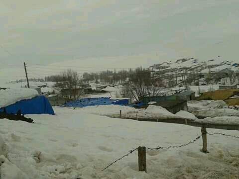 Bulanık Oğlakkaya Köyü Resimleri 12