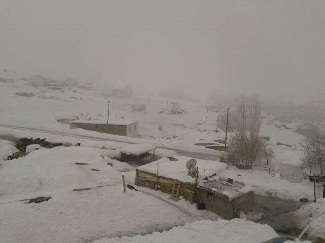 Bulanık Oğlakkaya Köyü Resimleri 2