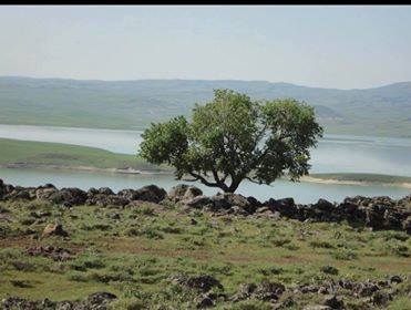 Bulanık Okçular Köyü Resimleri 1