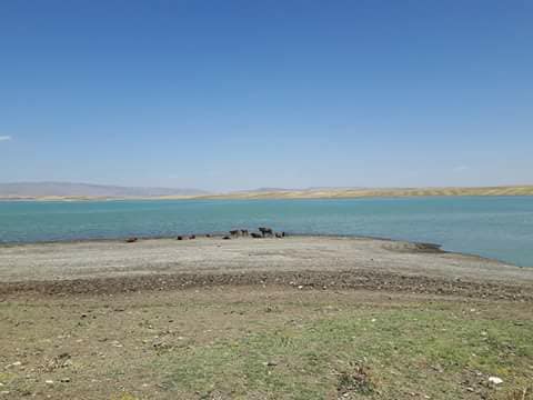 Bulanık Olurdere Köyü Resimleri 10