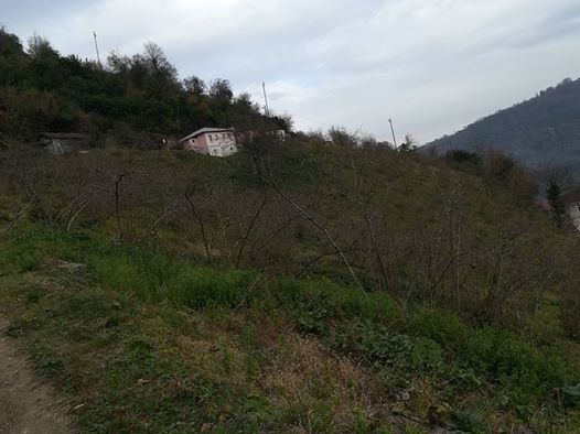 Yomra İkisu Köyü Resimleri 10