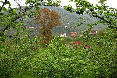 Yomra İkisu Köyü Resimleri 11