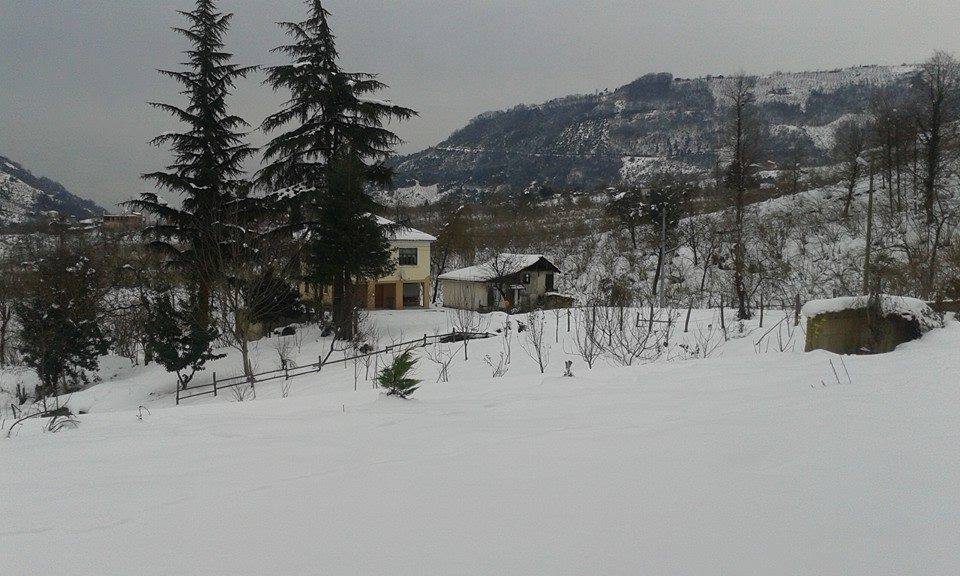 Yomra İkisu Köyü Resimleri 13