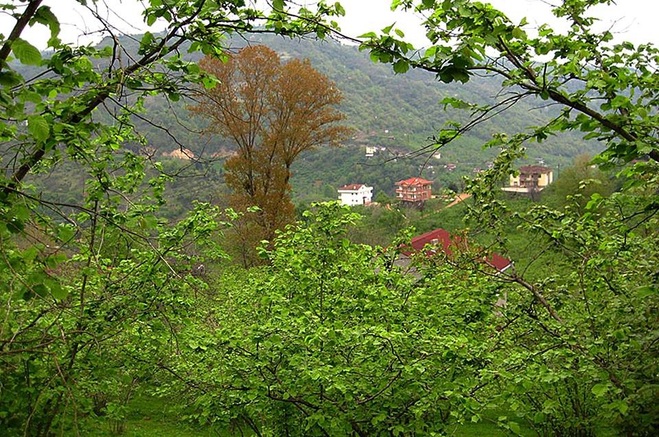 Yomra İkisu Köyü Resimleri 19